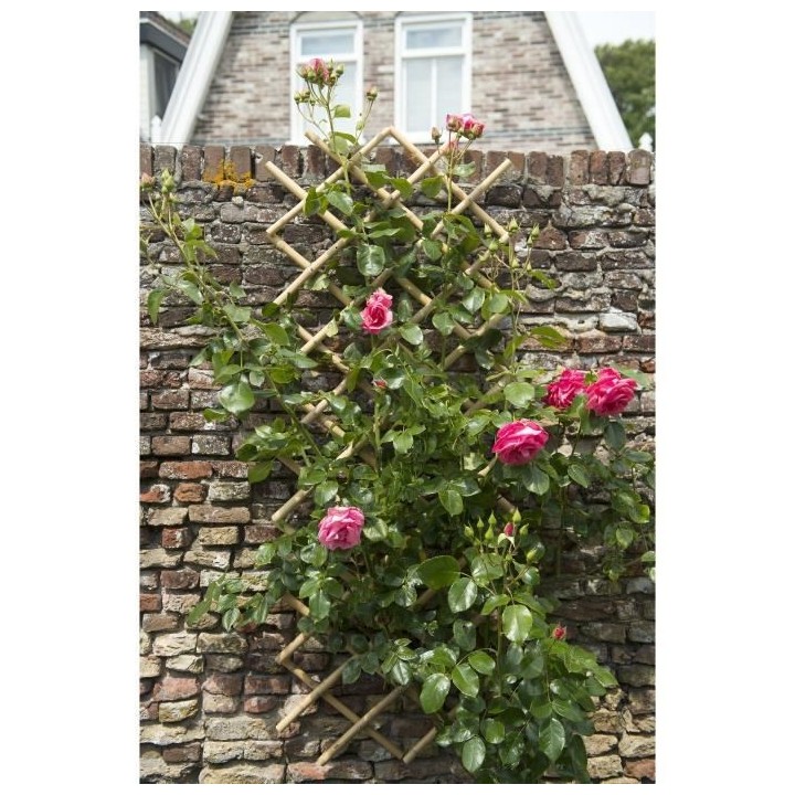 Nature Palissade de jardin 70 x 180 cm Bambou