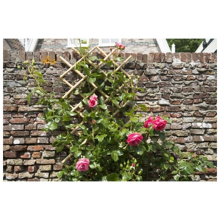 Nature Palissade de jardin 70 x 180 cm Bambou