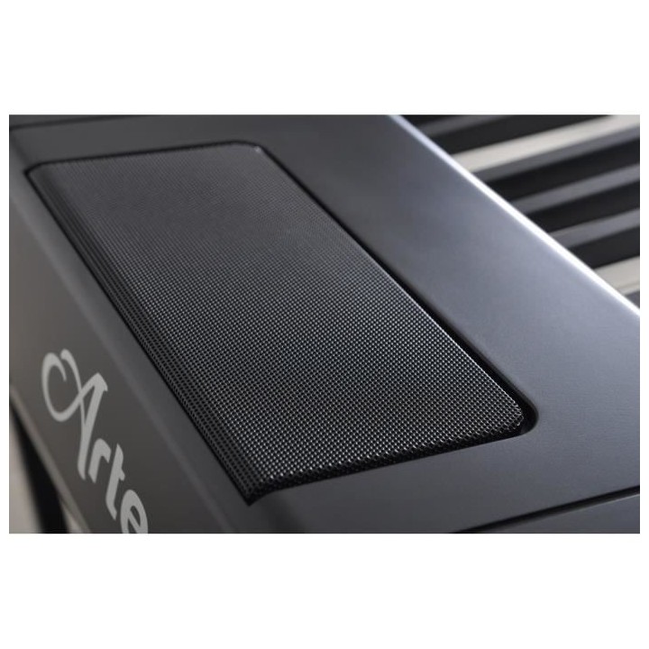 DELSON Piano Portable Artesia 88 touches