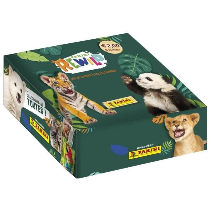 PANINI REWILD TRADING CARDS - Boîte de 24 pochettes