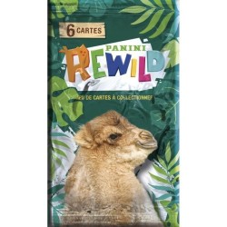 PANINI REWILD TRADING CARDS - Boîte de 24 pochettes