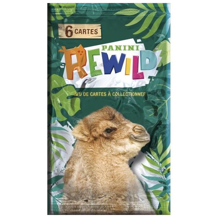 PANINI REWILD TRADING CARDS - Boîte de 24 pochettes