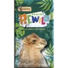 PANINI REWILD TRADING CARDS - Blister de 5 pochettes + 1 offerte