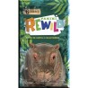 PANINI REWILD TRADING CARDS - Blister de 5 pochettes + 1 offerte