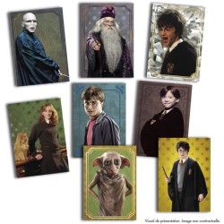 PANINI - Harry Potter Evolution Trading Cards - Blister 6 Pochettes + 1 offerte