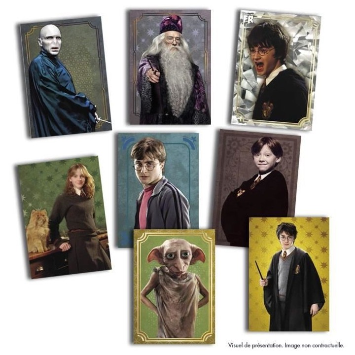 PANINI - Harry Potter Evolution Trading Cards - Blister 6 Pochettes +