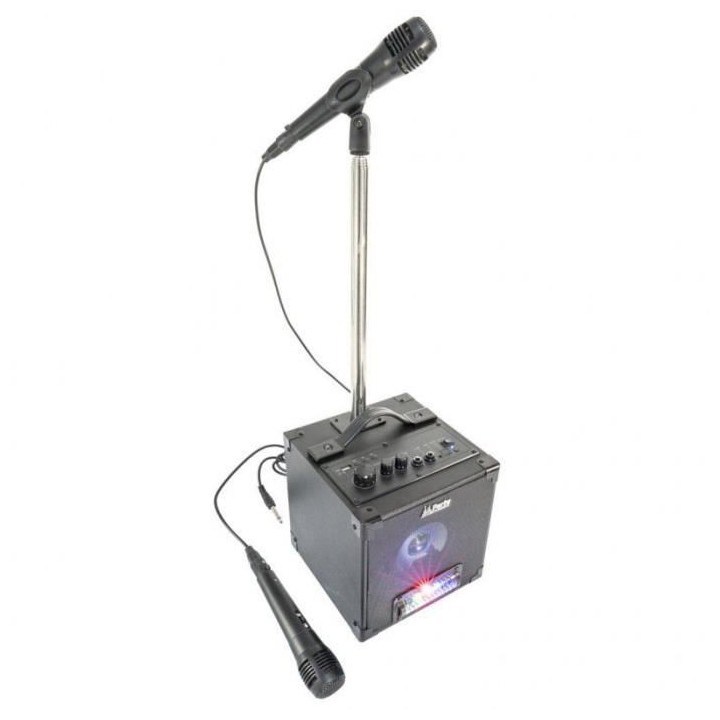 PARTY LIGHT &SOUND Ensemble karaoké avec animation lumineuse, 2 Micro