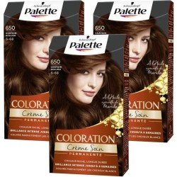 SCHWARZKOPF Palette -...