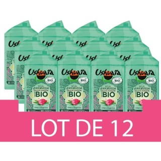 Gel douche USHUAIA BIO Rituel d'Ayurveda Amla & Gingembre - 12 x 250 m
