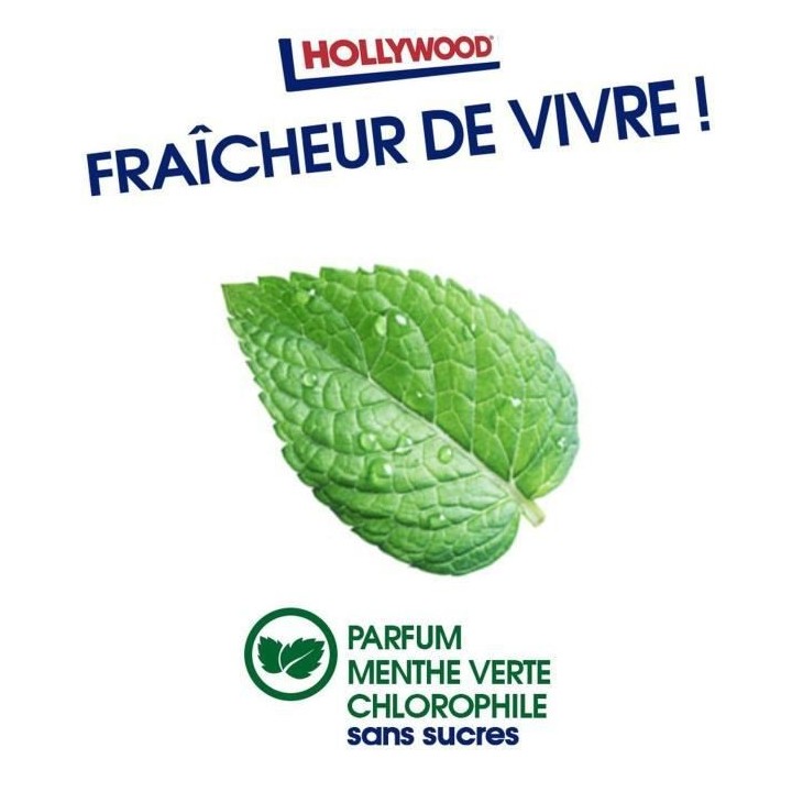 HOLLYWOOD Chewing Gum Green Fresh - Parfum Menthe verte - Sans Sucre a
