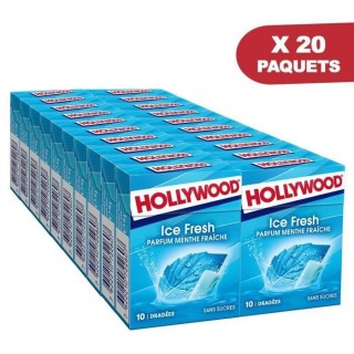 HOLLYWOOD Chewing Gum Ice Fresh - Parfum Menthe Fraîche - Sans Sucre