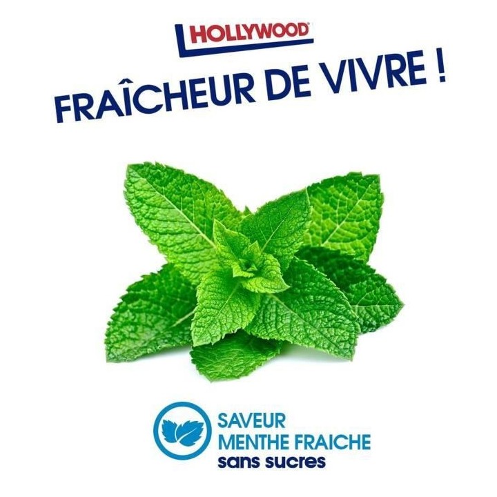 HOLLYWOOD Chewing Gum Ice Fresh - Parfum Menthe Fraîche - Sans Sucre