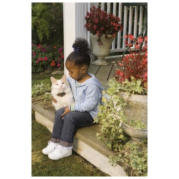 PetSafe - Clôture Anti-Fugue Deluxe avec Collier spécial Chat - Éta