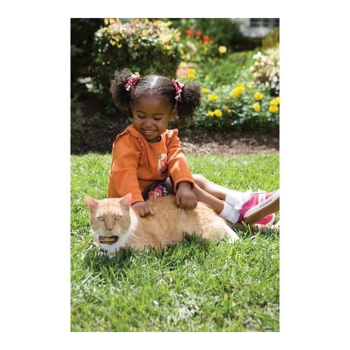 PetSafe - Clôture Anti-Fugue Deluxe avec Collier spécial Chat - Éta