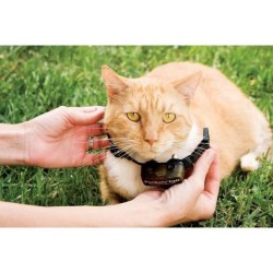 PetSafe - Clôture Anti-Fugue Deluxe avec Collier spécial Chat - Étanche - 4 Niveaux de Stimulation – Systeme Anti-étrangle