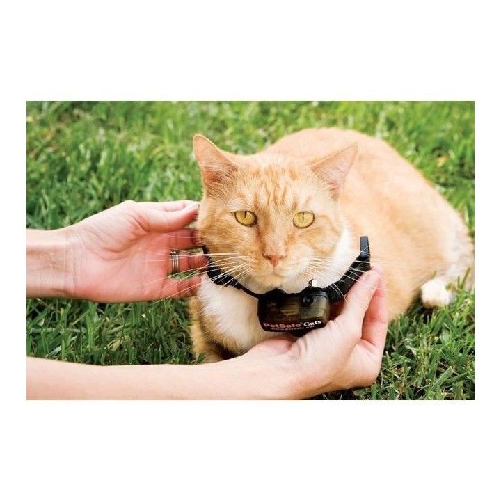 PetSafe - Clôture Anti-Fugue Deluxe avec Collier spécial Chat - Éta