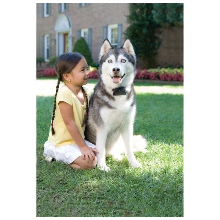 PETSAFE Collier supplémentaire Super Radio Fence - Pour clôture anti