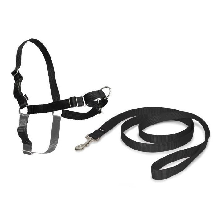PetSafe - Harnais Easy Walk avec boucle Anti-Traction et laisse de 1,8
