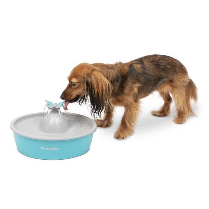 PetSafe - Fontaine a Eau Papillon pour chat et chien Drinkwell, 4 Diff