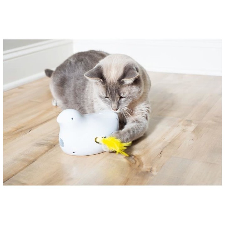 PetSafe - Jouet électronique pour chat Peek-a-Bird, avec un programme