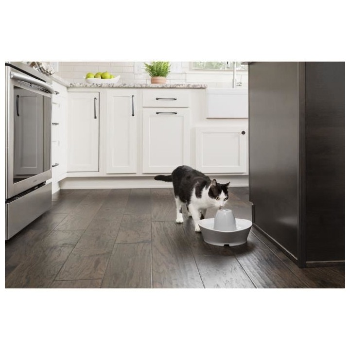 PetSafe - Fontaine en Céramique StreamSide pour Animaux de Compagnie