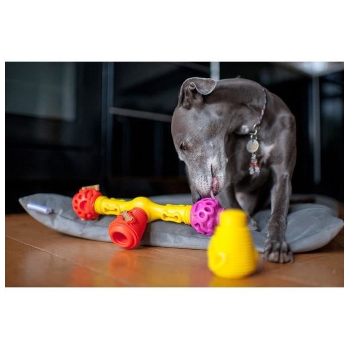 Extension de 2 pieces K9 Connectables MINI - Orange/Jaune