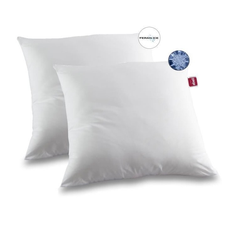 ABEIL Lot de 2 Oreillers moelleux ICEBERG 60x60cm