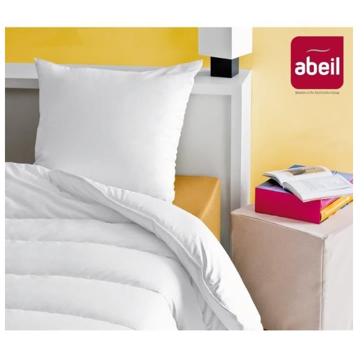 ABEIL Lot de 2 Oreillers Douceur - 60 x 60 cm - Blanc