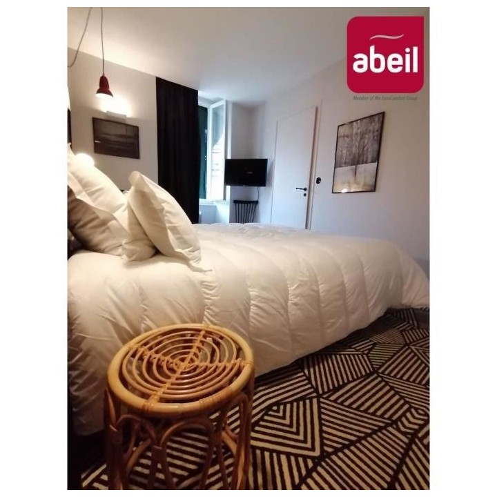 ABEIL Couette Ultima Confort 450 - 200 x 200 cm