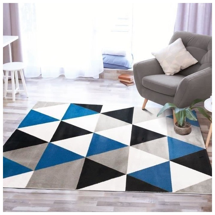 TAO SCANDI Tapis de salon - 120 x 170 cm - Polypropylene - Bleu