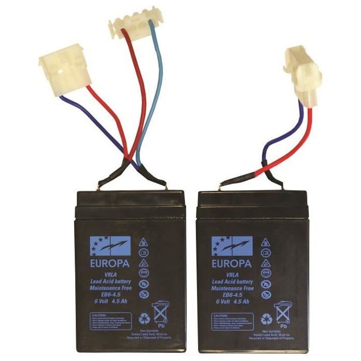 ANATEC Lot de 2 Batteries Pac Boat au plomb - 6V/4,5A