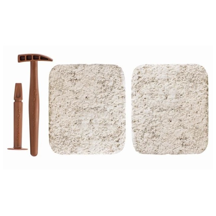 Clementoni - Science & Jeu - Archéo Ludic - T-Rex & Tricératops