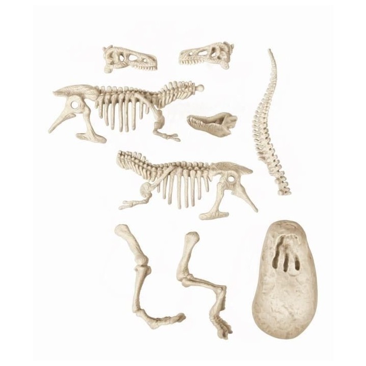 Clementoni - Science & Jeu - Archéo Ludic - Vélociraptor