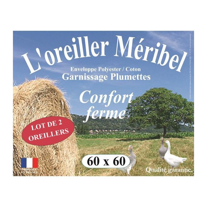 DODO Lot de 2 Oreillers MERIBEL Plumettes 60x60cm