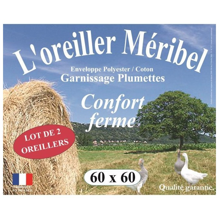 DODO Lot de 2 Oreillers MERIBEL Plumettes 60x60cm