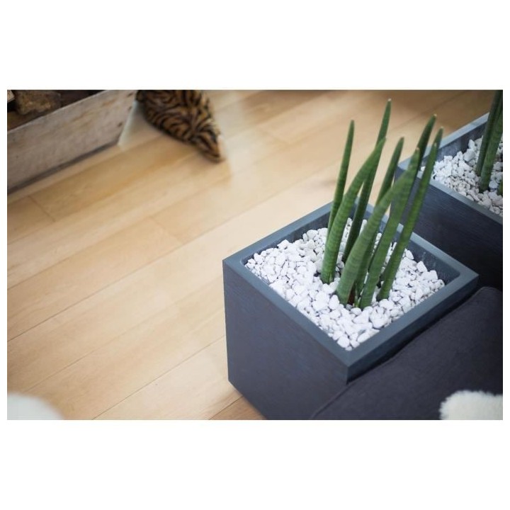 EDA Pot carré Graphit - 39 x 39 x 43 cm - 31 L - Gris anthracite