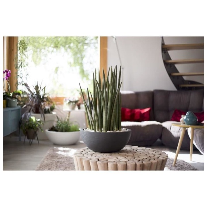 EDA PLASTIQUE - Pot vasque Graphit'Up Ø 40 - 14,9L - Gris anthracite