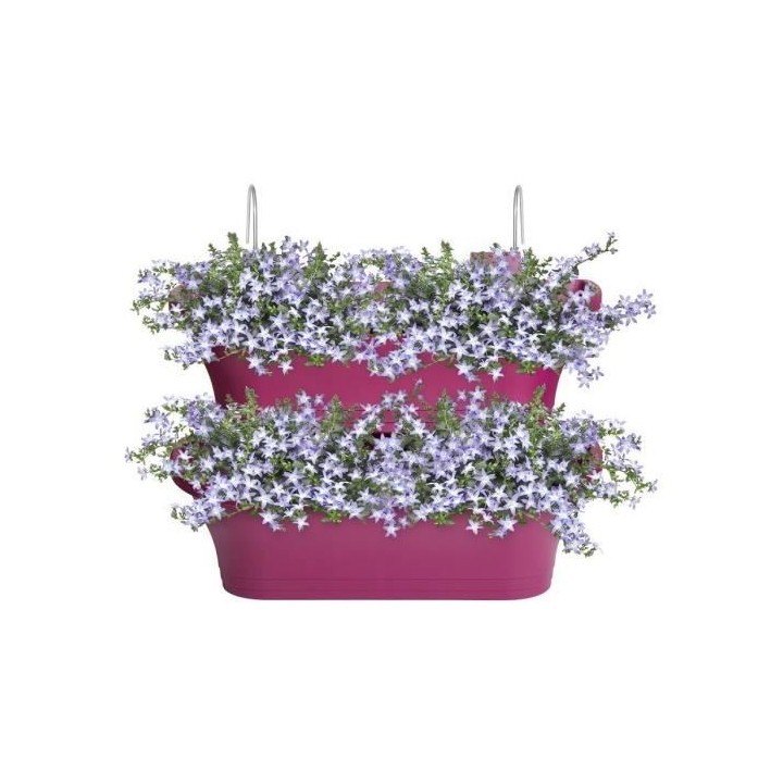 Corsica Vert Forest Large Set 2 cerise