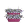 Corsica Vert Forest Large Set 2 cerise