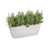 ELHO - Pot de fleurs - Vibia Campana Easy Hanger Large - Blanc Soie - Balcon extérieur - L 24.1 x W 46 x H 26.5 cm