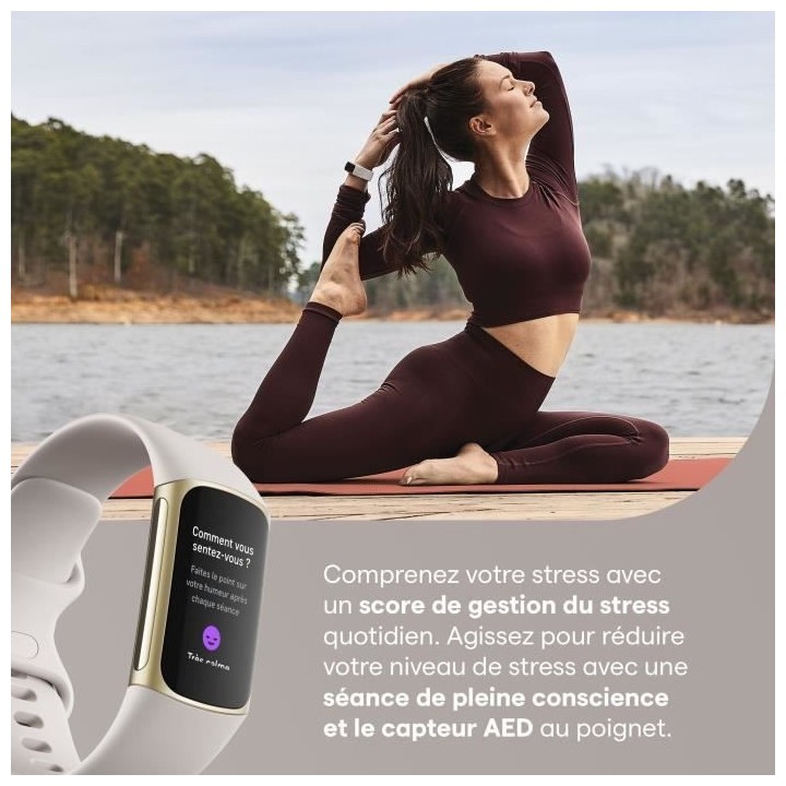 FITBIT Charge 5 - Bracelet d'activité - 6 mois d'abonnement a Premium