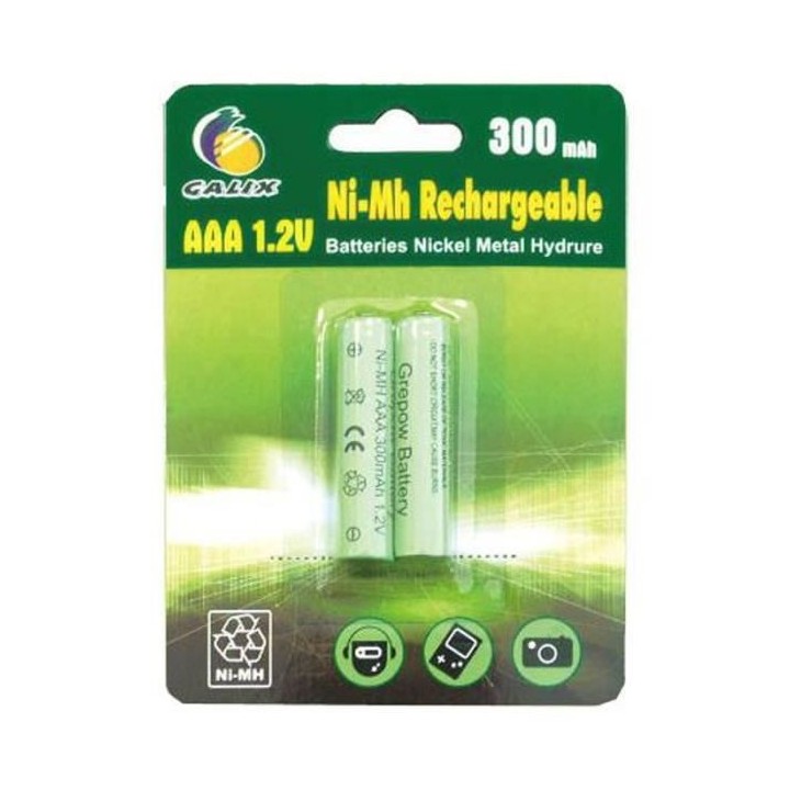 GALIX Lot de 2 piles rechargeables LR03/AAA - Ni-Mh - 1,2 Volts - 300