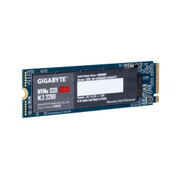 GIGABYTE - SSD Interne - 256Go - M.2 NVMe (GP-GSM2NE3256GNTD)