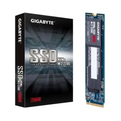 GIGABYTE - SSD Interne - 256Go - M.2 NVMe (GP-GSM2NE3256GNTD)