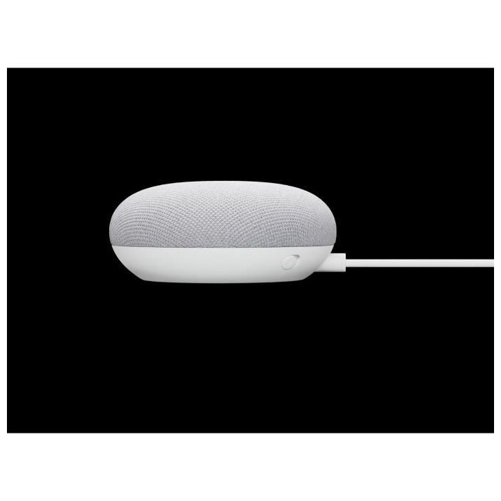 GOOGLE Nest Mini Enceinte intelligente Galet