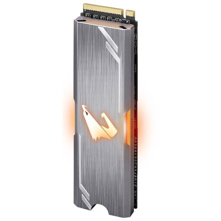 GIGABYTE - SSD Interne - Aorus RGB - 256Go - M.2 NVMe (GP-ASM2NE2256GT