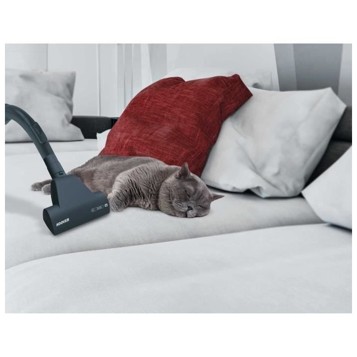 HOOVER XP81_XP25 Aspirateur Traineau sans sac, Puissant 800W CompactTe