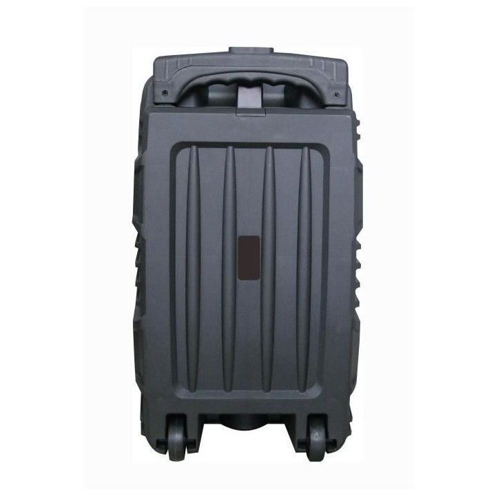 INOVALLEY Enceinte - KA120 - Enceinte Trolley Karaoké Moniteur Led