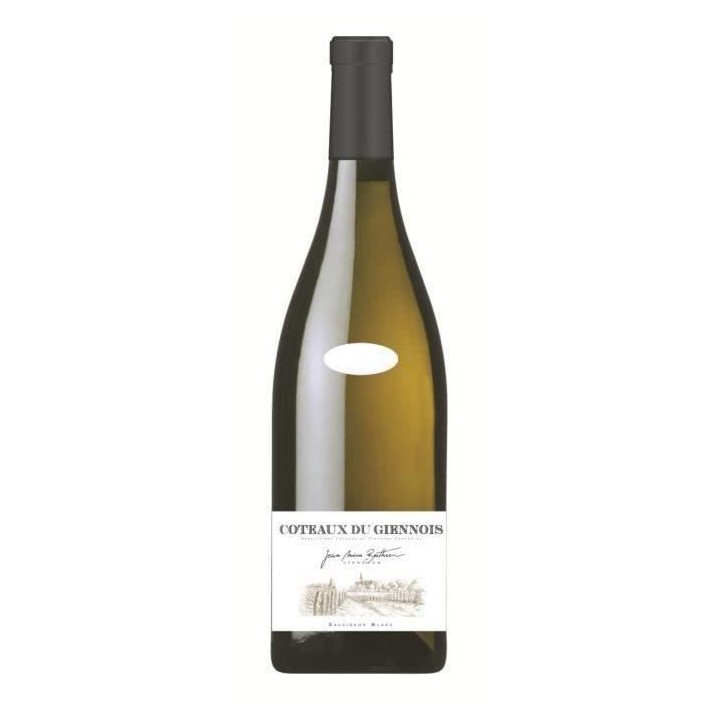 Jean Marie Berthier 2020 Coteaux du Giennois - Vin blanc de Loire