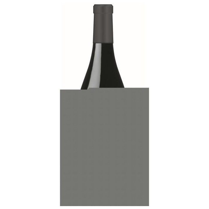 Jean Marie Berthier 2019 Sancerre - Vin rouge de Loire